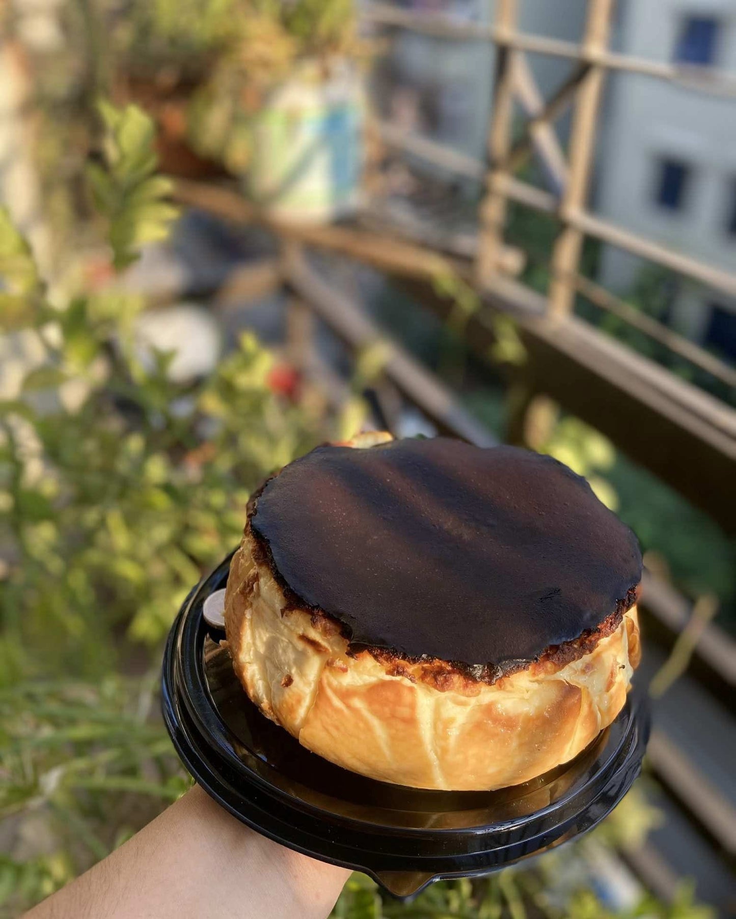 Basque Burnt Cheesecake