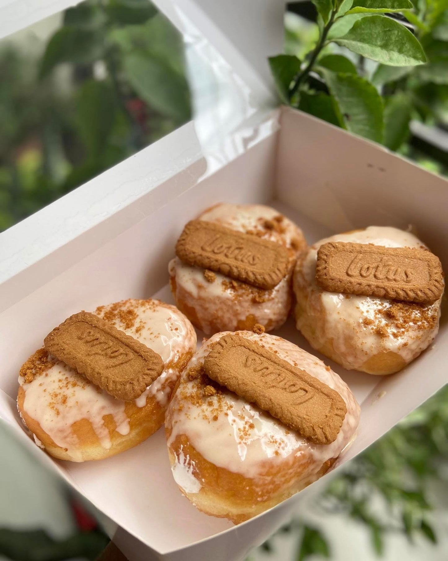 Biscoff Doughnut